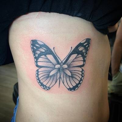 Whip shaded butterfly