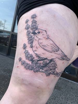Bird and lavender sprigs 