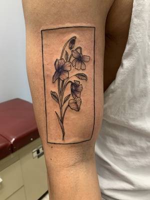 Violets 