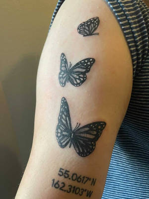 Butterflies 