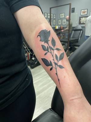 rose 