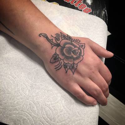 American traditional rose 