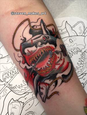 Shark
