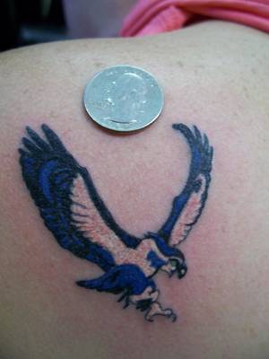 Seahawk