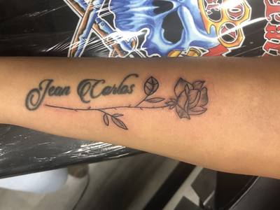 Whip shaded rose 