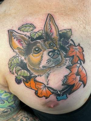 Pet portrait 