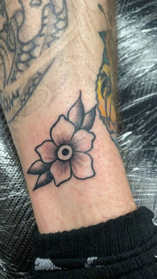 forget me not 