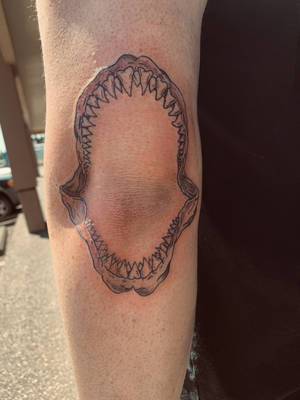 Shark jaw 