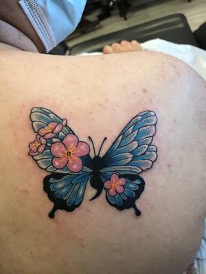 SemiColonFly