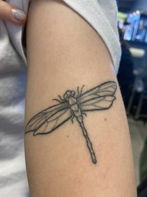 Heard Dragonfly 