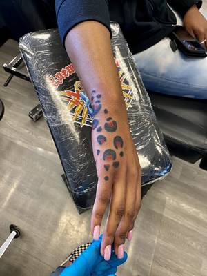 cheetah 