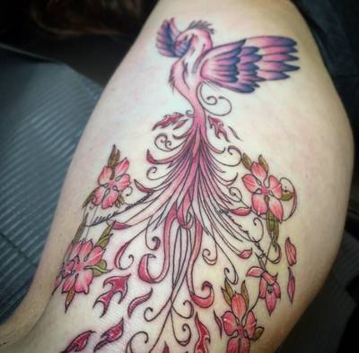 Pink phoenix 