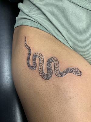 Snake 