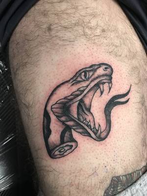 snake