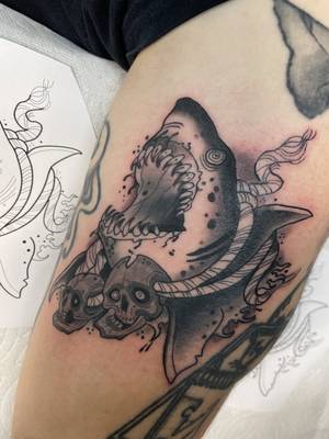 Shark