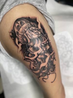 Jellyfish