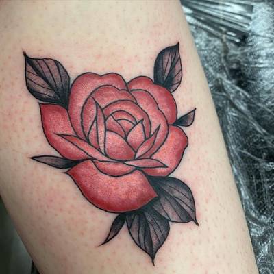 rose 