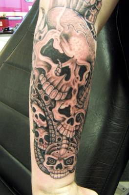 Bio-Skulls