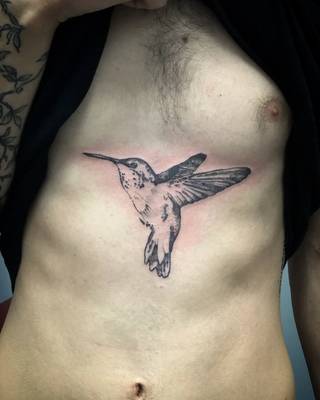 Humming bird 