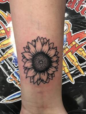 Sunflower
