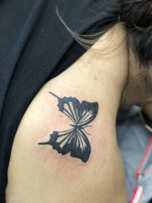 Butterfly 