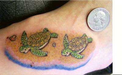 Turtlesoup