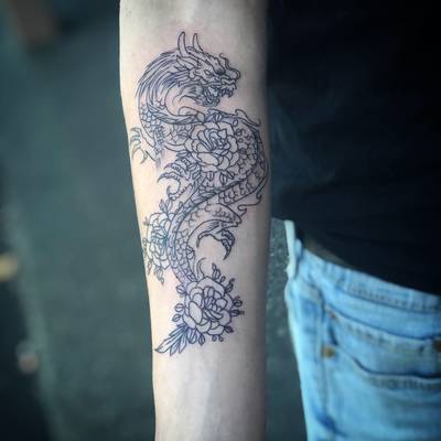 Dragon 