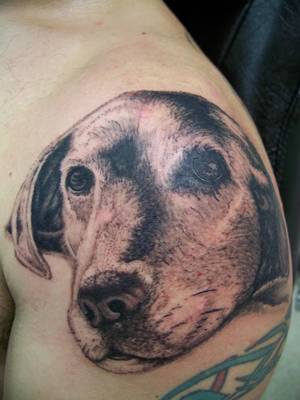 Puppy