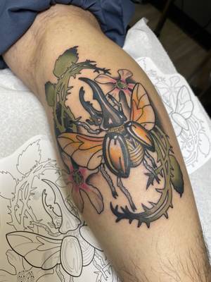 Beetle