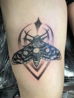 Mothra