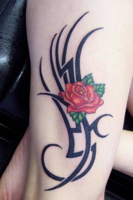 Thorny Rose