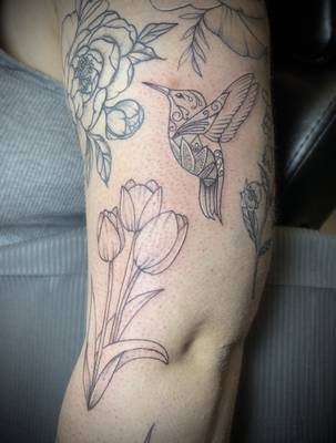Delicate humming bird and tulips 
