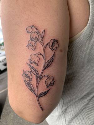 Lilly of the valley 