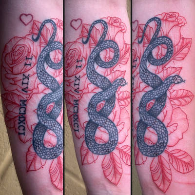 Snake and roses