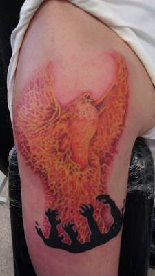 Phoenix Rising