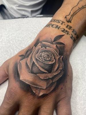 Rose