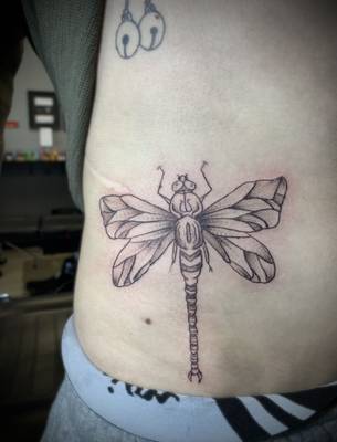 Dragon fly