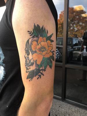 Skull piece 
