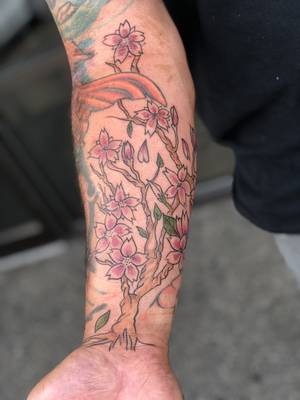 Free hand cherry blossom tree 
