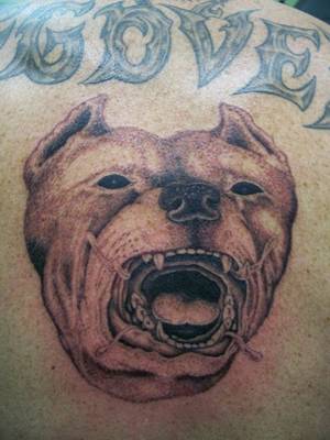 Good Boy